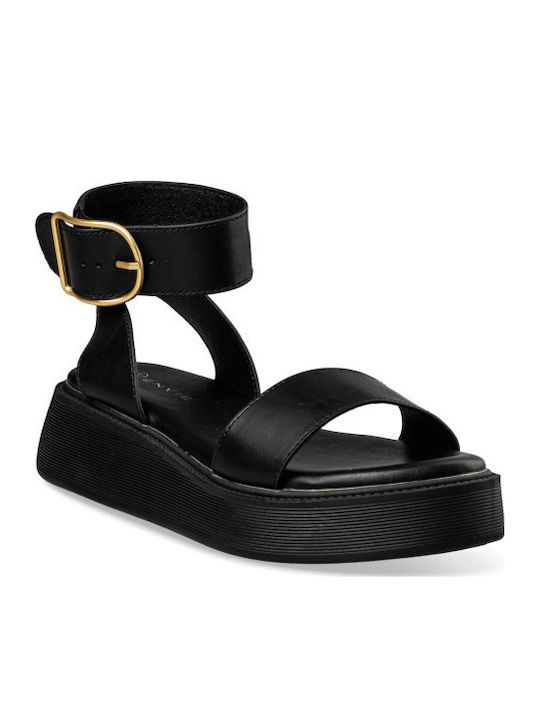 Envie Shoes