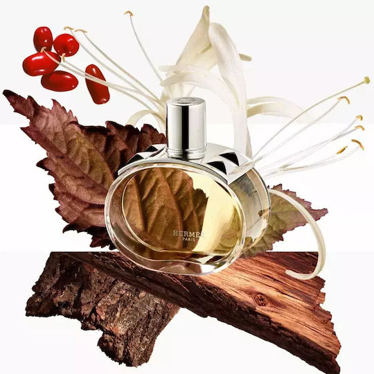 Hermès Barénia Parfümiertes Haarnebel Frauen 30 ml