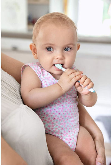 Nuk Training Сет Бебешки Четки За Зъби За 6m+ 2 Броя Бели / Зелени