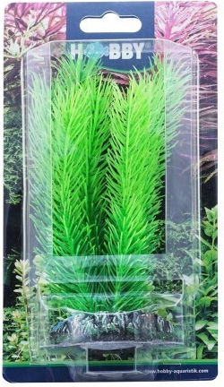 Hobby Aquaristik Mayaca Decorațiune Plantă artificială Acvariu
