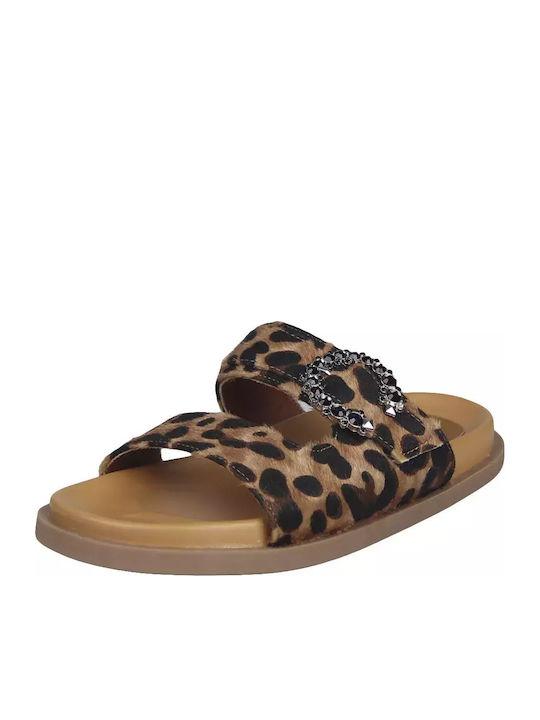 Envie Shoes