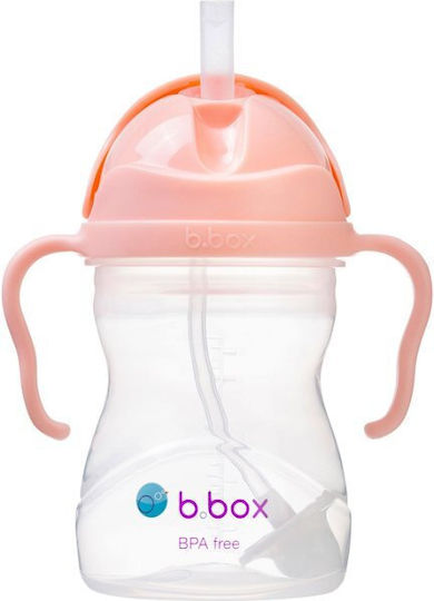 B.Box Baby Cup made of Plastic 240ml for 6m+m+