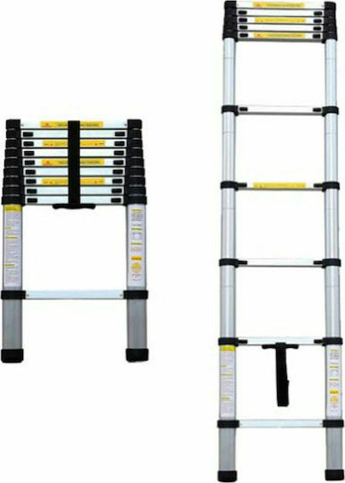 Bormann Telescopic Ladder Aluminum 10 of Steps with Maximum Height 3.2m BHL7010 022770
