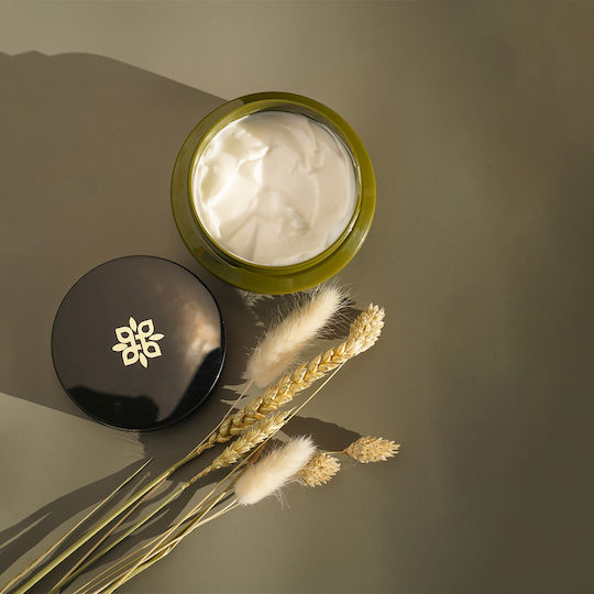 OliveSpa Aloe Vera & Olive Oil Hair Mask for Repairing with Argan Keratin & Aloe Vera 250ml