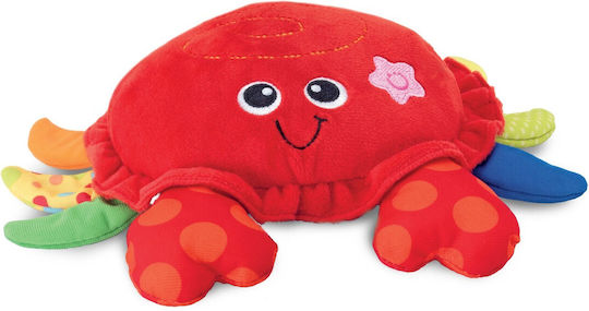 Winfun Baby Toy made of Fabric with Music and Sounds for 3++ Months