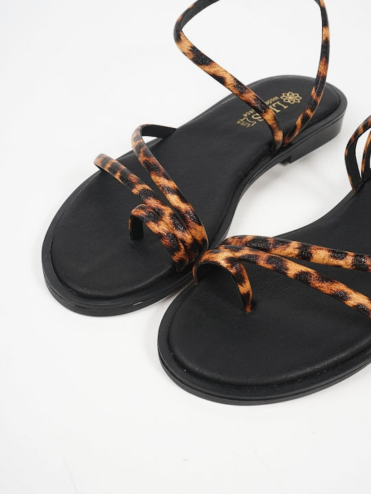 Piazza Shoes