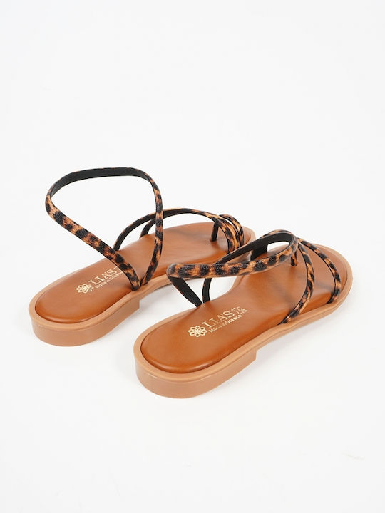 Piazza Shoes