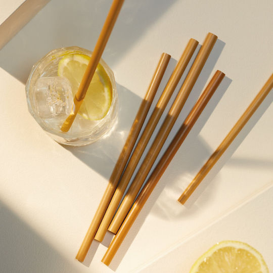 Natural Elements Reusable Bamboo Straw Set 10pcs Cleaning Brush