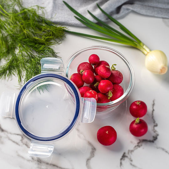Kadax Glass Lunch Box Transparent 400ml