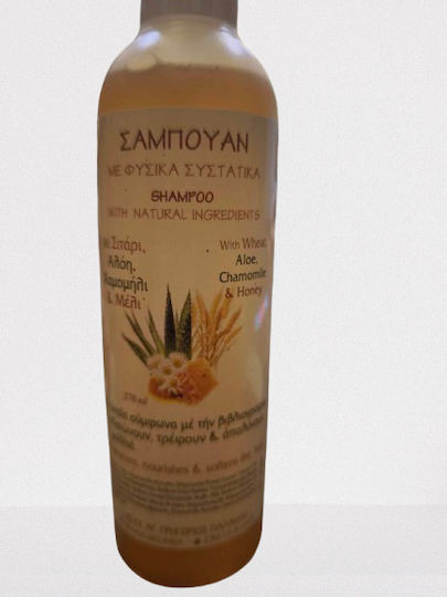 Ιερά Μονή Γρηγορίου Παλαμά Σαμπουάν 270ml