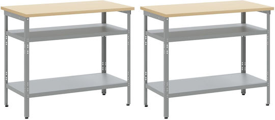 vidaXL Πάγκος Εργασίας 55x85x100cm 2τμχ 3321390