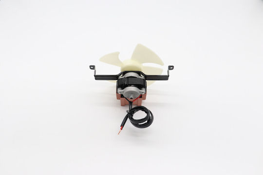 Maxima Motor