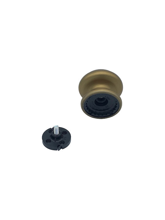Saguatti Μπουλ Εξώπορτας Satin Bronze