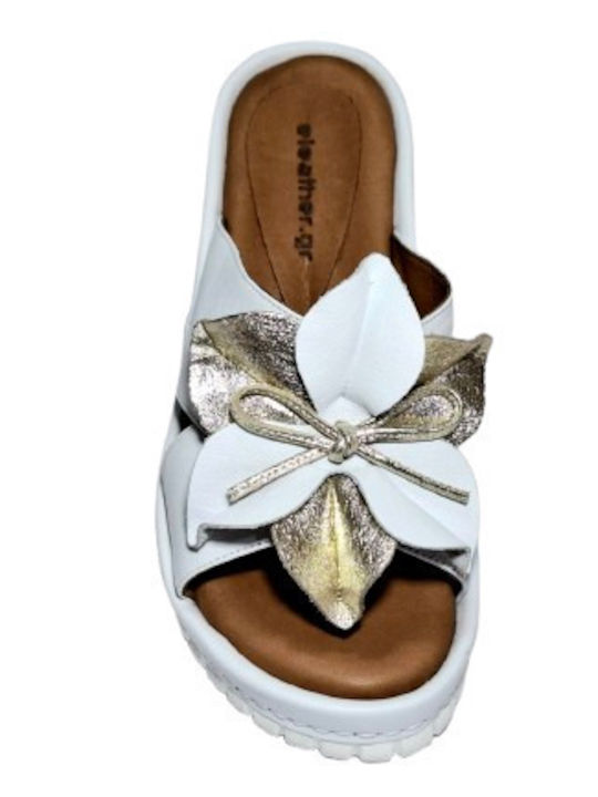 Anatomic Women's Leather Platform Shoes White