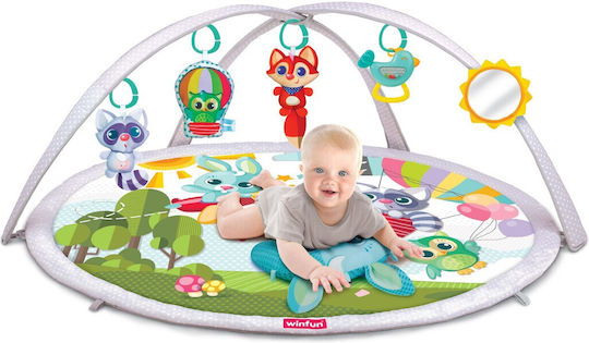 Winfun Baby Activity Gym for Newborns