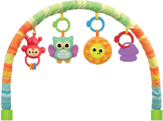 Winfun Baby Activity Gym for Newborns