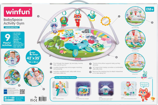 Winfun Baby Activity Gym for Newborns