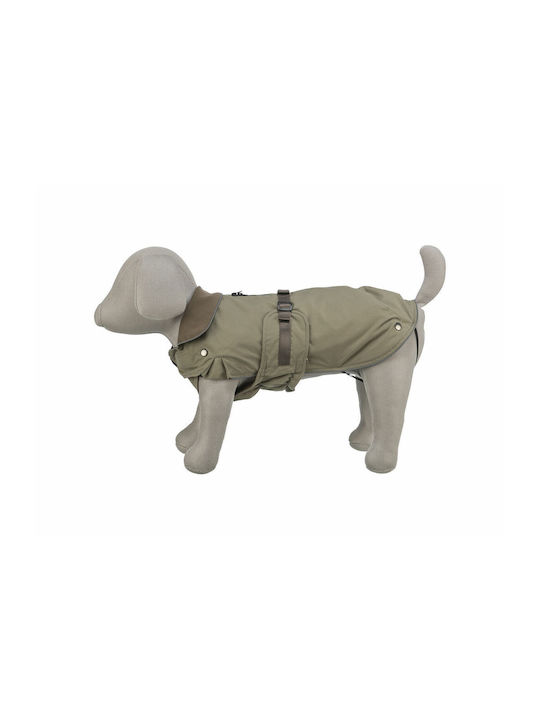 Orange Dog Coat with 43cm Back Length