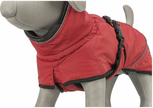 Red Dog Coat