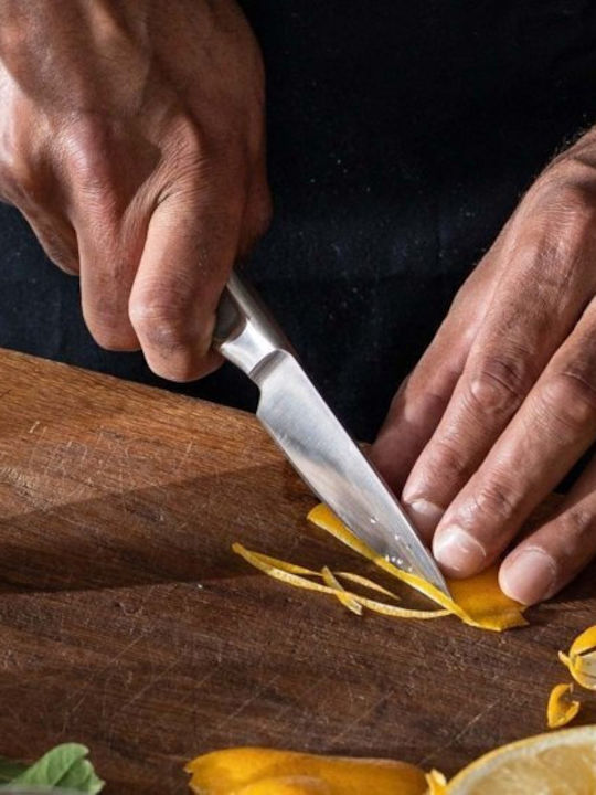 Fiskars Knife Peeling from Stainless Steel 10cm