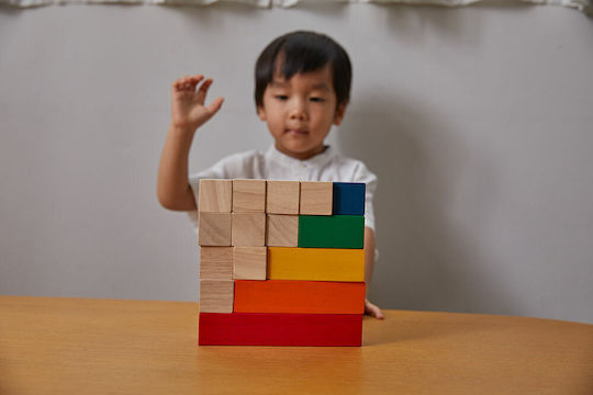 Plan Toys Κύβοι Για Μέτρημα Educational Game Knowledge made of Wood for 3+ years Years Old