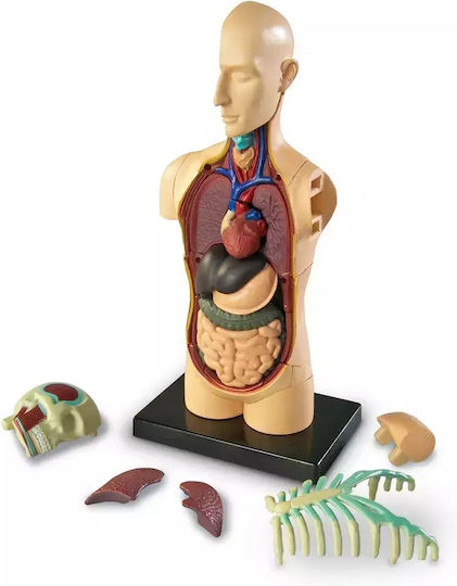 Learning Resources Human Body Εκπαιδευτικό Παιχνίδι Γνώσεων για 8-12 Ετών