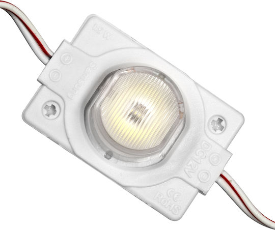 GloboStar LED Modul 11,8V 1,5W Kühles Weiß 20 Stück 73708
