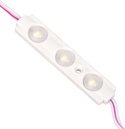 GloboStar LED Modul 12V 1W Kühles Weiß 20 Stück 73707