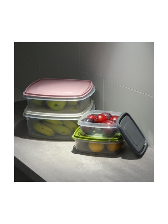 Viomes Microwave Plastic Lunch Box Silver 3198ml