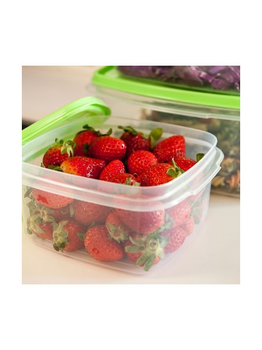 Viomes Lunchbox Kunststoff Lila Geeignet für die Mikrowelle 1Stück