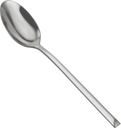 Ready Desert Ice Cream Stainless Steel Silver 14.6cm PX-02A21 12 Pieces