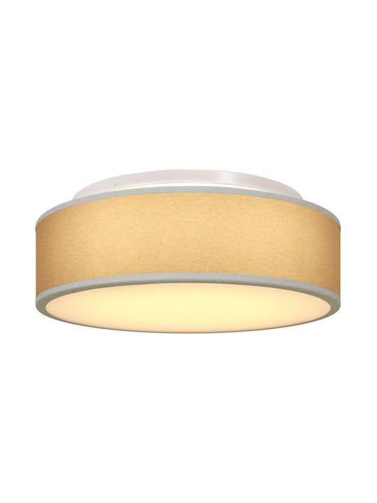 vidaXL Lighting fixtures Ceiling Mount Light 38cm Gray with Socket E27