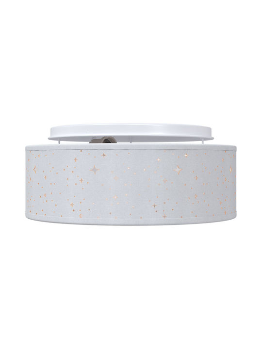 vidaXL Ceiling Mount Light 30cm Gray with Socket E27