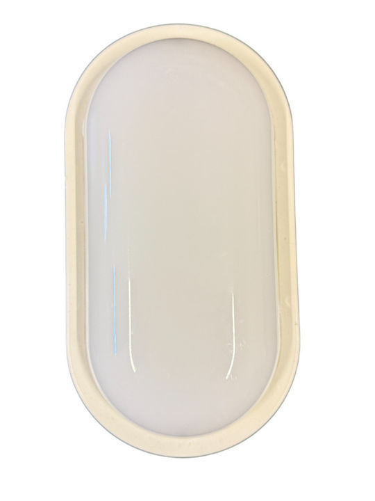 Horoz Electric Lumină de exterior montată pe perete LED cu Alb Rece Lumină