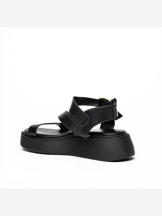 Platforme Dama Negre