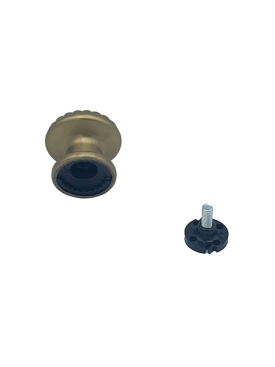 Saguatti Μπουλ Εξώπορτας Polished Bronze