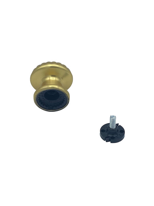 Saguatti Μπουλ Εξώπορτας Polished Gold