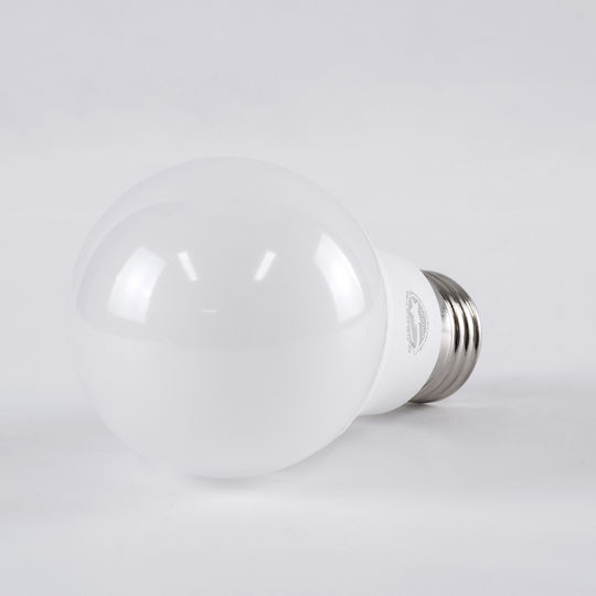 GloboStar LED-Lampe 10W 110mm für Fassung E27 und Form A60 Kühles Weiß 1160lm
