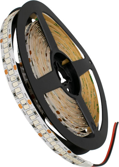 GloboStar LED Strip 24V Blue Light 5m Type SMD2835