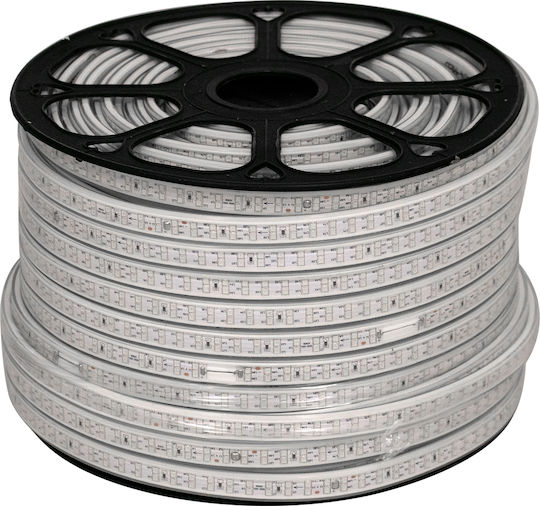 GloboStar Waterproof LED Strip 220V Blue Light 1m Type SMD2835