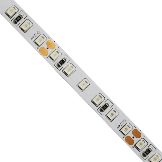 GloboStar Ταινία LED 24V Κόκκινο Φως 5m Τύπου SMD2835