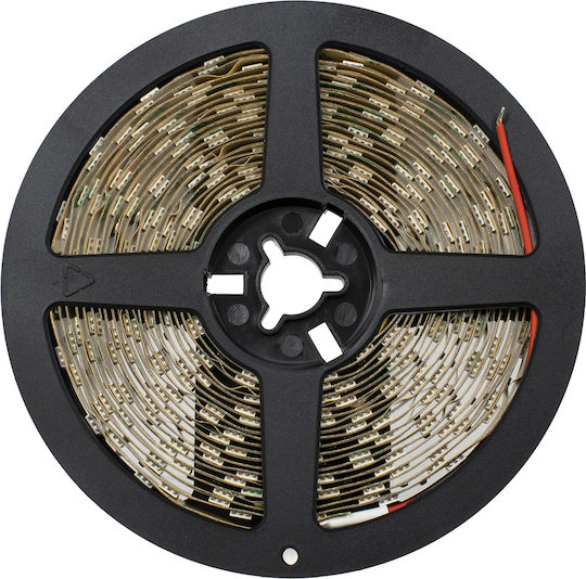 GloboStar LED Strip 24V Green Light 5m Type SMD5050