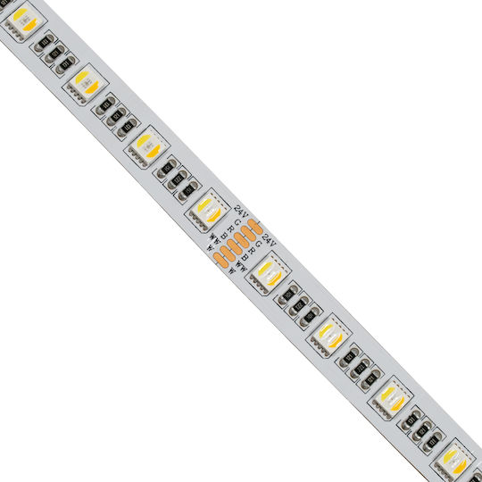 GloboStar LED Strip 24V RGBW Light 5m Type SMD5050