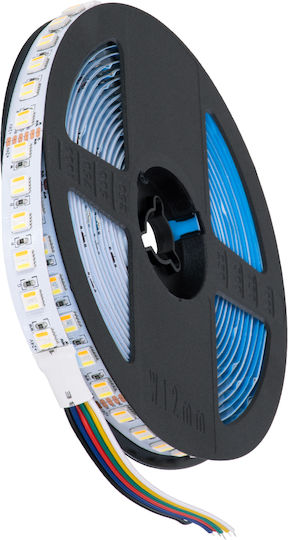 GloboStar Ταινία LED 24V RGBW Φως 5m Τύπου SMD5050