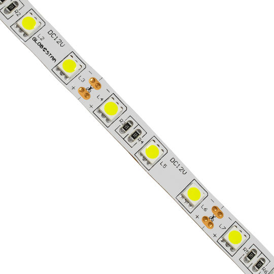 GloboStar Ταινία LED 12V Ψυχρό Λευκό Φως 5m Τύπου SMD5050