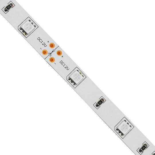 GloboStar LED Strip 12V Green Light 5m Type SMD5050