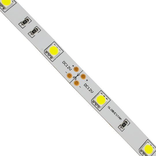 GloboStar LED Лента 12V Студено бяло Светлина 5м Тип SMD5050