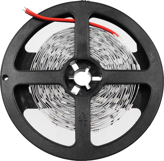GloboStar LED Strip 12V Green Light 5m Type SMD5050