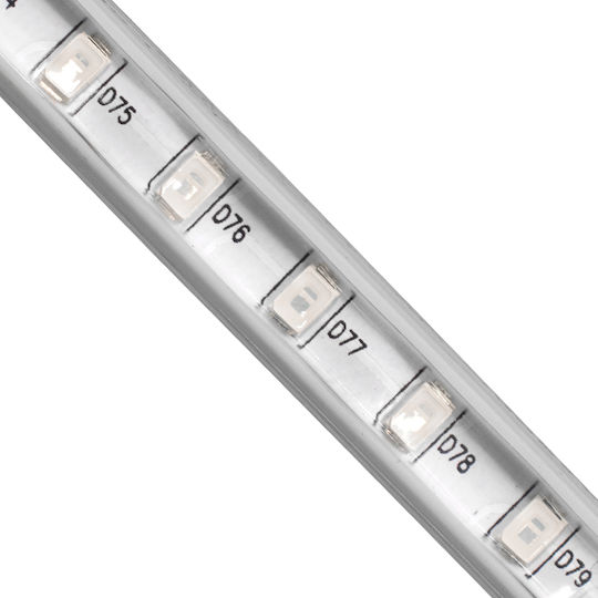 GloboStar Αδιάβροχη Ταινία LED 220V Πράσινο Φως 1m Τύπου SMD2835