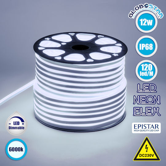 GloboStar Waterproof LED Strip 220V Cold White Light 1m Neon Flex
